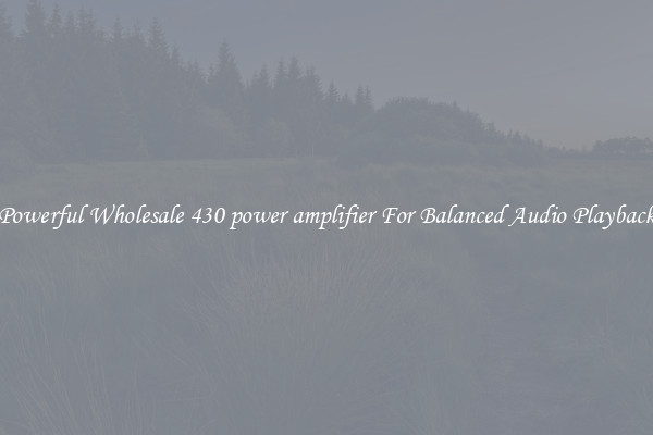 Powerful Wholesale 430 power amplifier For Balanced Audio Playback