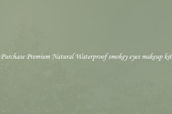 Purchase Premium Natural Waterproof smokey eyes makeup kit