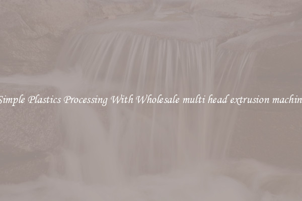 Simple Plastics Processing With Wholesale multi head extrusion machine