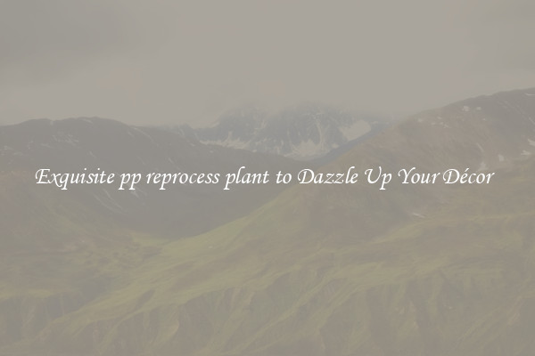 Exquisite pp reprocess plant to Dazzle Up Your Décor  