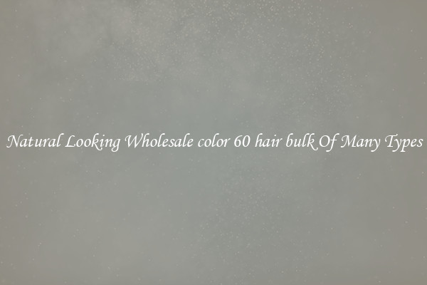 Natural Looking Wholesale color 60 hair bulk Of Many Types