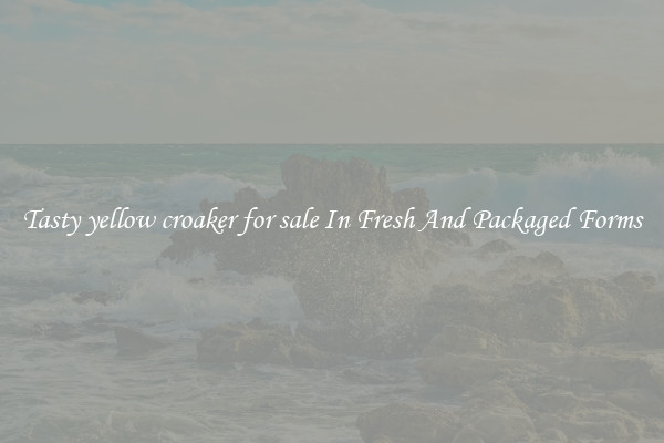 Tasty yellow croaker for sale In Fresh And Packaged Forms
