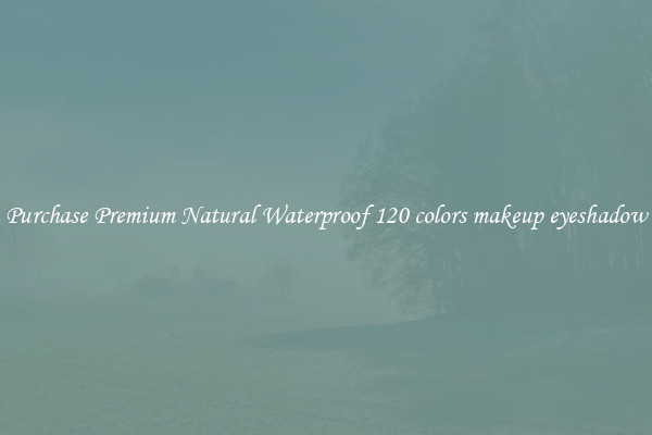 Purchase Premium Natural Waterproof 120 colors makeup eyeshadow