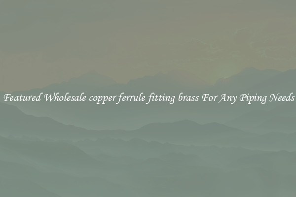 Featured Wholesale copper ferrule fitting brass For Any Piping Needs