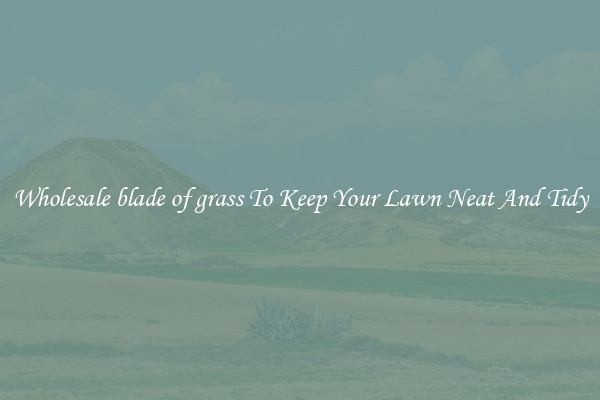 Wholesale blade of grass To Keep Your Lawn Neat And Tidy