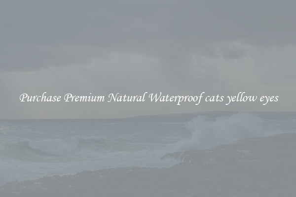 Purchase Premium Natural Waterproof cats yellow eyes