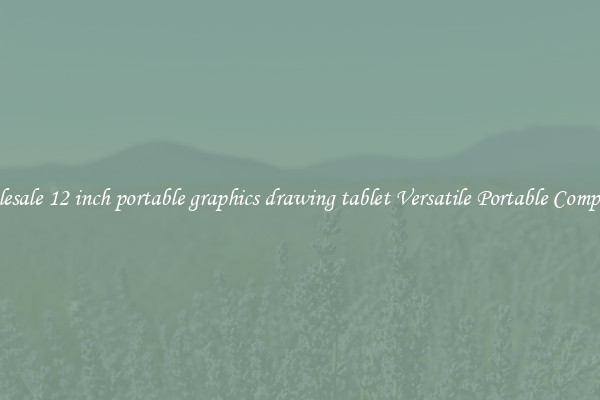 Wholesale 12 inch portable graphics drawing tablet Versatile Portable Computing