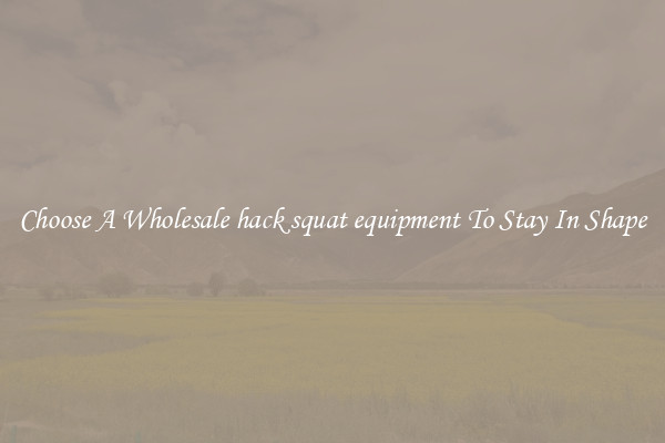 Choose A Wholesale hack squat equipment To Stay In Shape