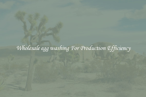 Wholesale egg washing For Production Efficiency